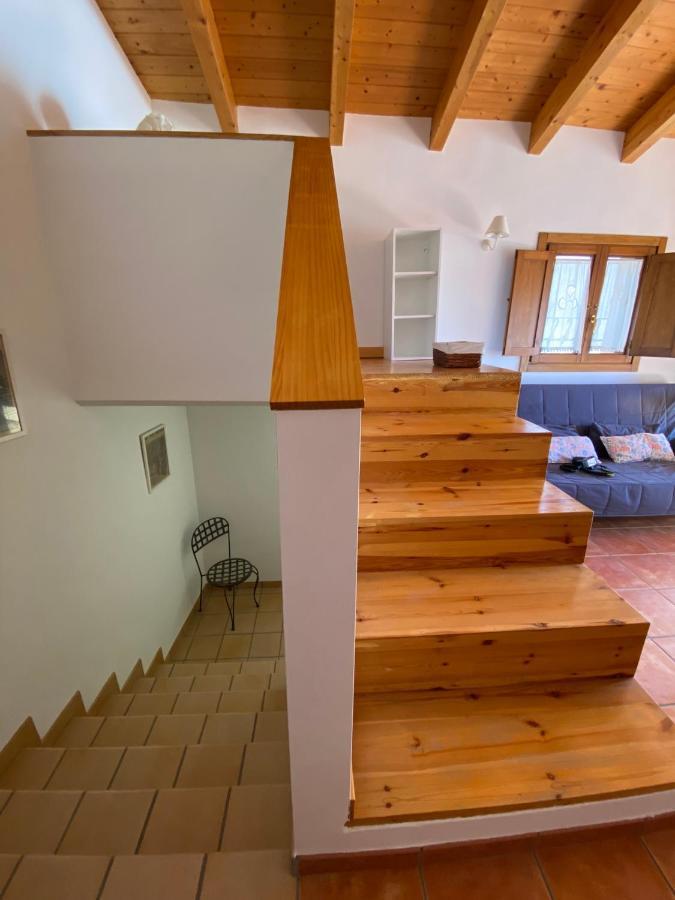 Duplex Teresa Alcañiz